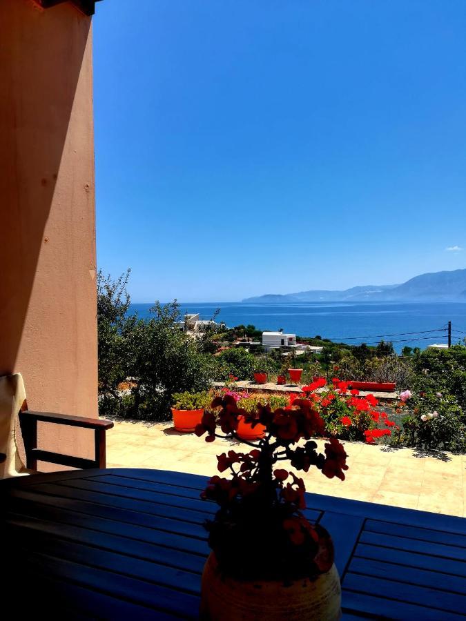 Villa Thea Amoudara (Lasithi) Exterior foto