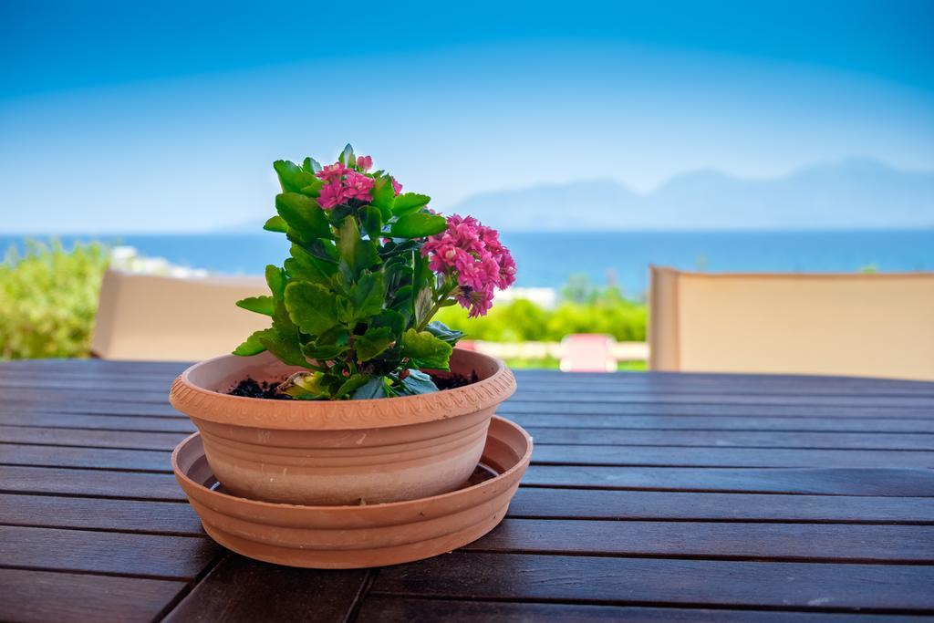Villa Thea Amoudara (Lasithi) Exterior foto